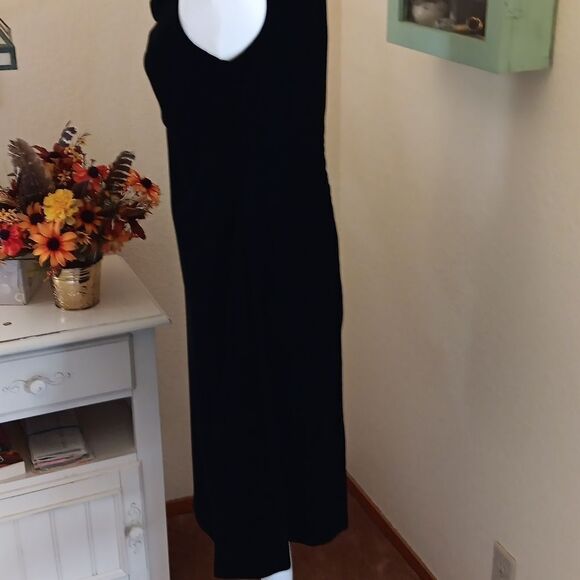 Jaclyn Smith Draped Neck Velvet Dress - Picture 5 of 10